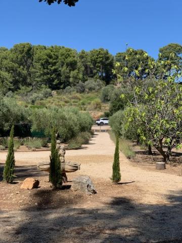 Le Petit Chene Villa Le Castellet  Dış mekan fotoğraf